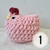 Emotional Support Spring CHICKENS 🐓